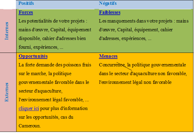 business plan pisciculture hors sol pdf